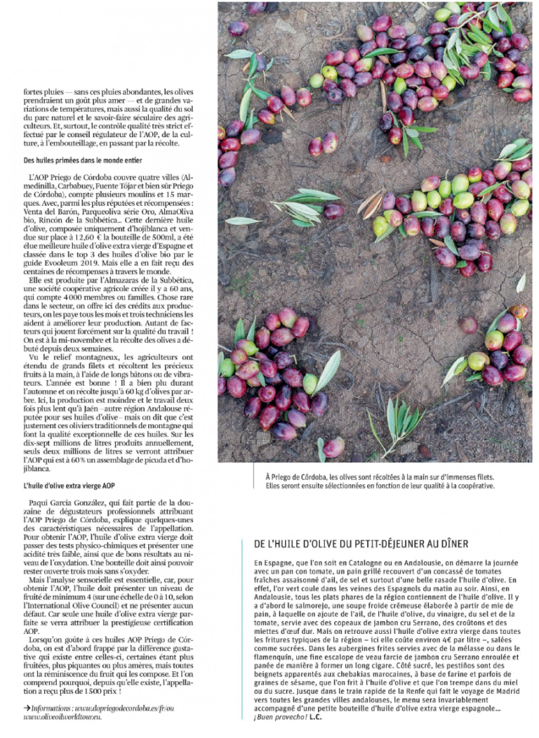 Artikel in de lifestyle weekendbijlage van La Libre Belgique (Quid) over Olive Oils from Spain als resultaat van public relations campagne